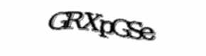 Security check image, please type the characters shown